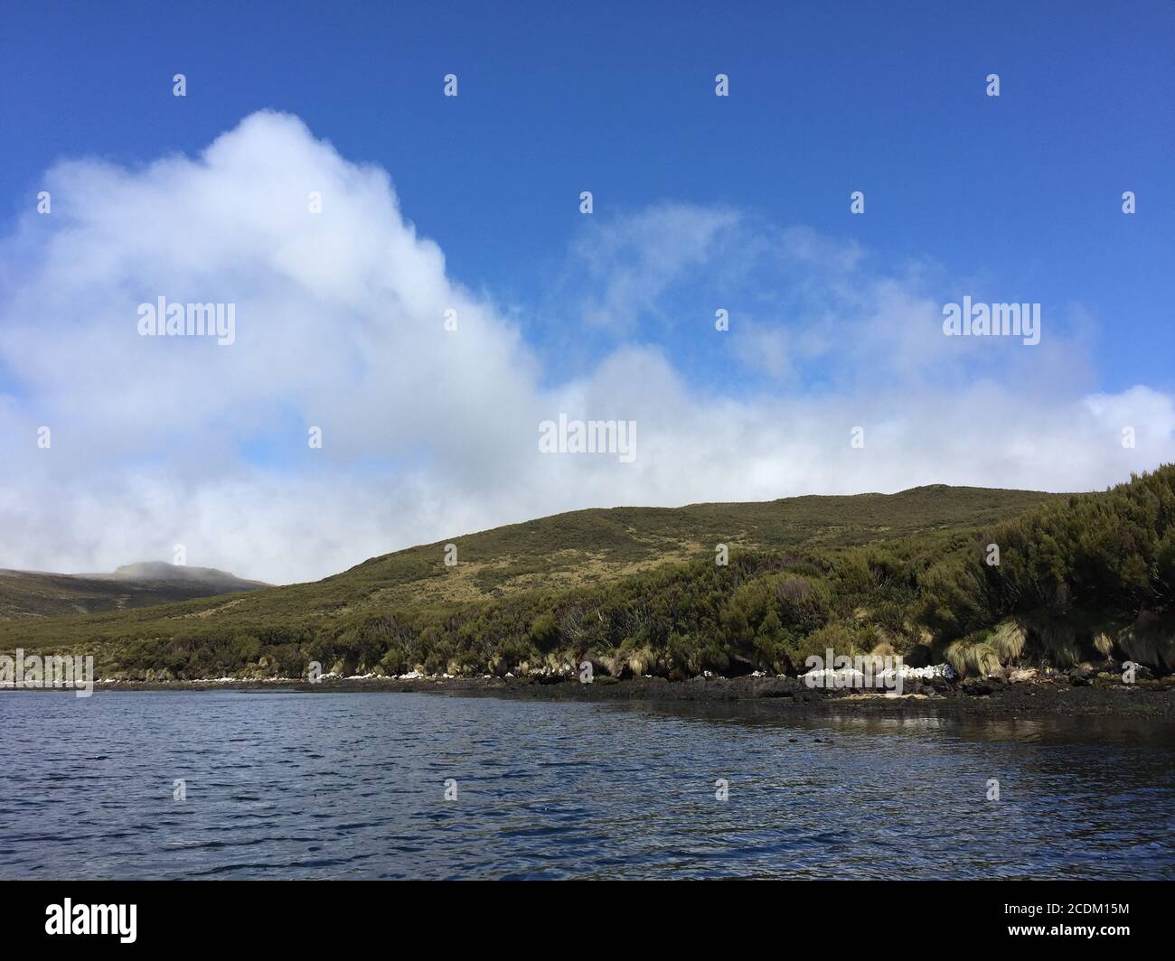Campbell island, New Zealand, Campbell Island Stock Photo