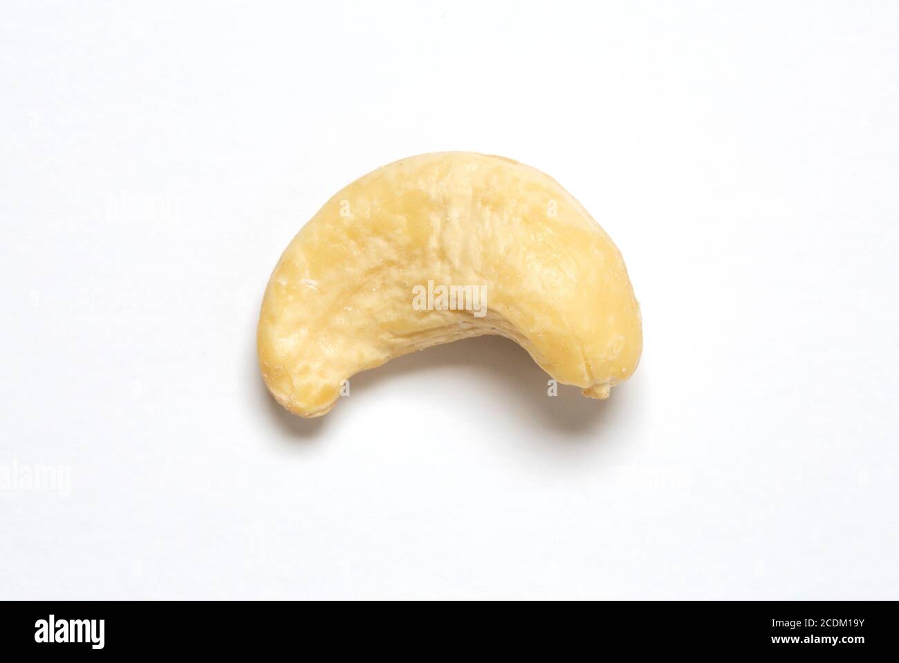 Cashew nut. Stock Photo