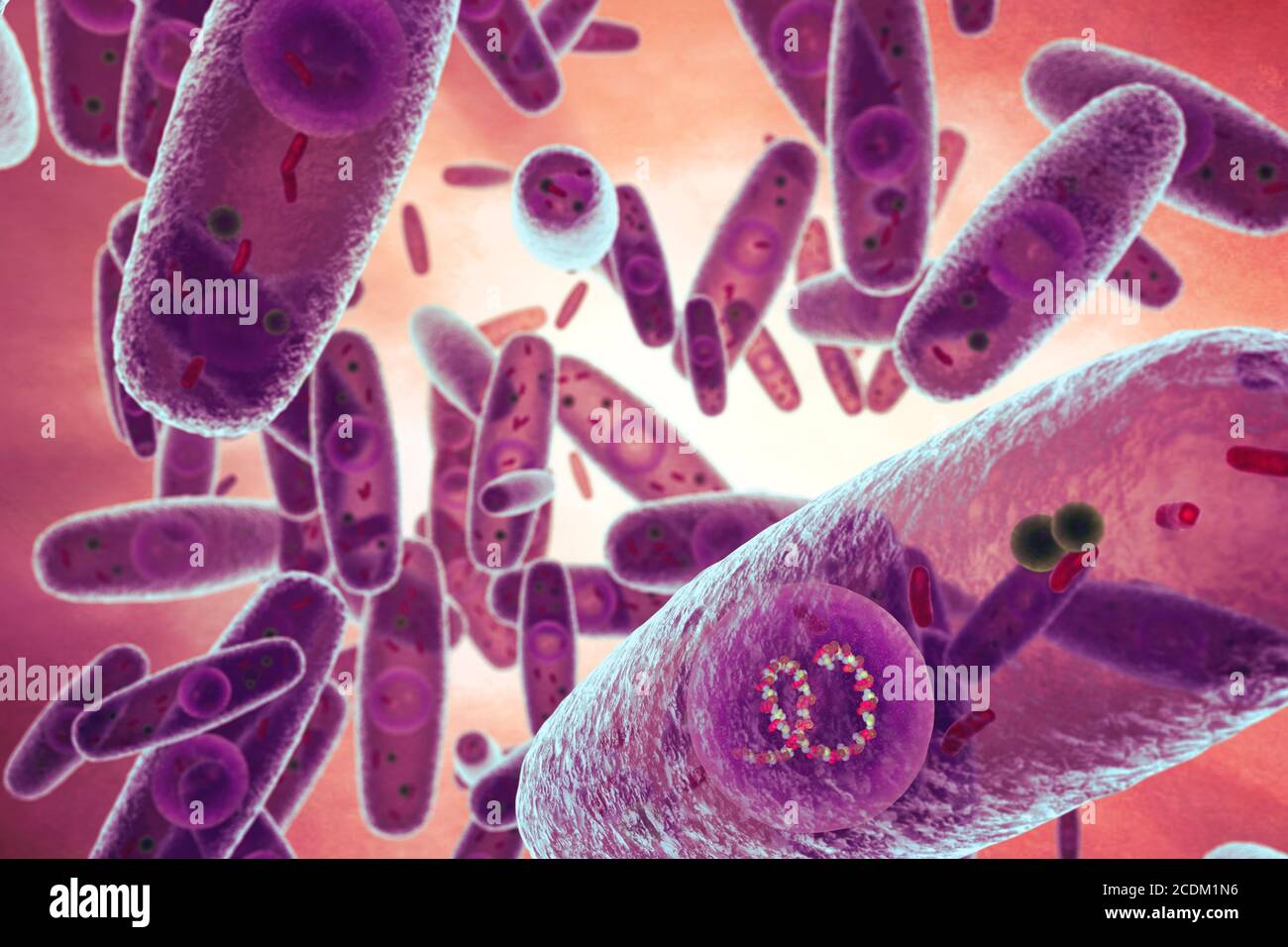 3d illustration of Pasteurella multocida bacteria. This is a Gram