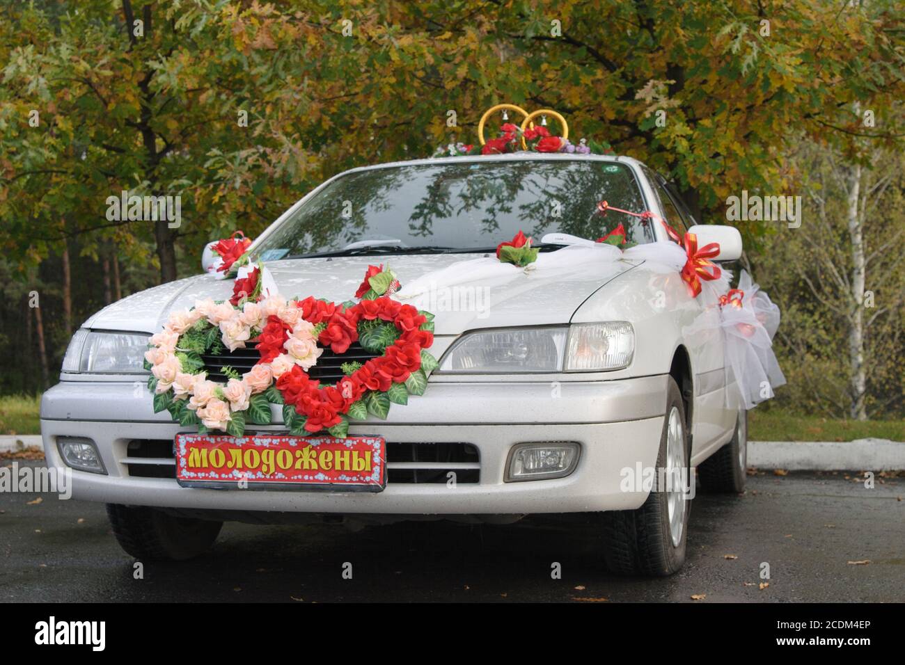 Wedding car decorations hi-res stock photography and images - Page