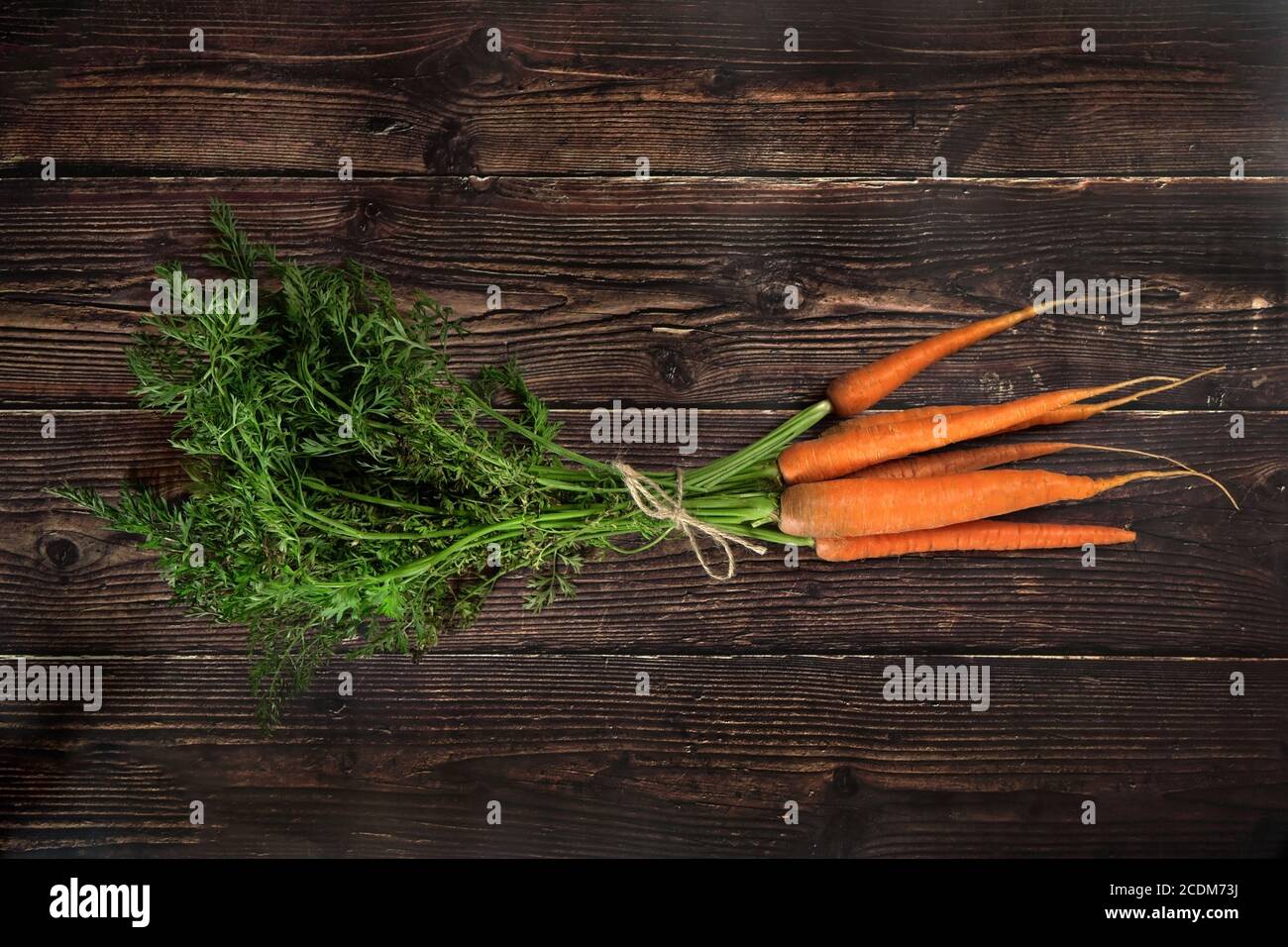 Top down view, bunch of fresh carrot roots with green leaves, holding ...