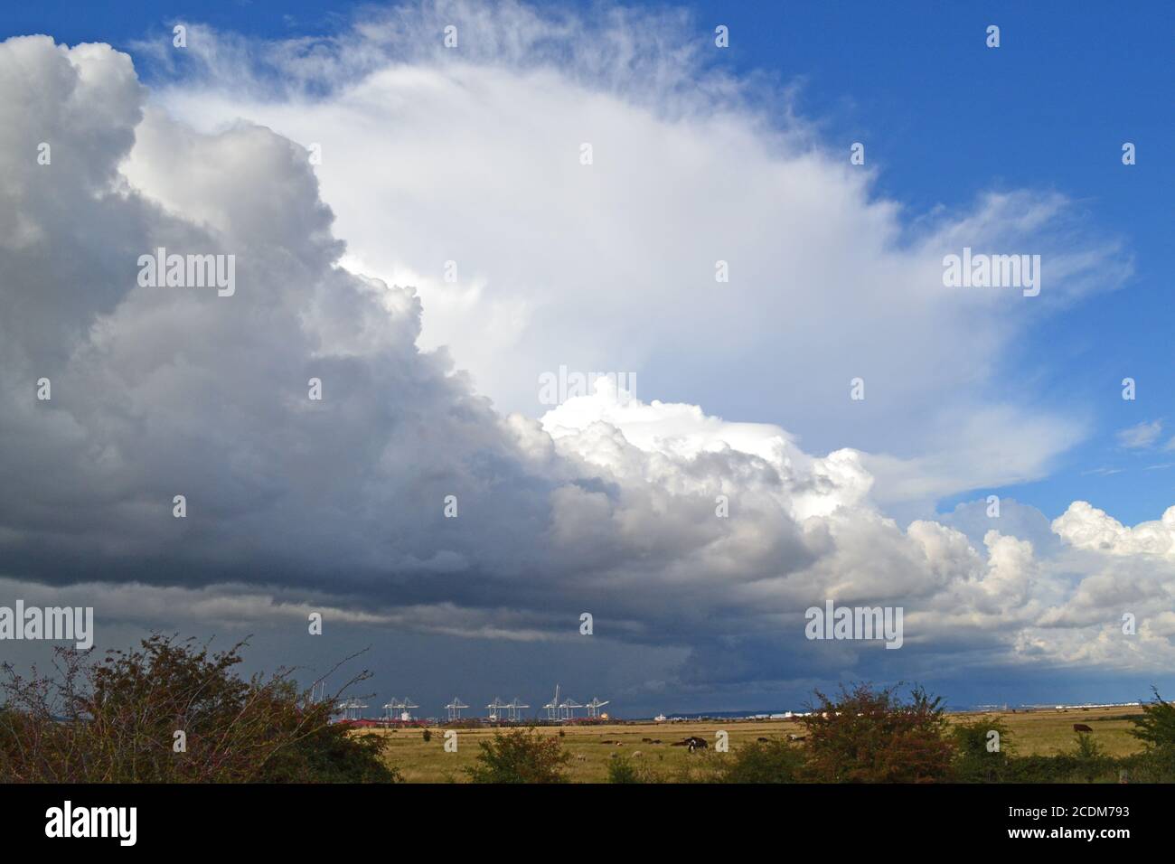 Storm with anvil cloud, a cumulonimbus, seen over Essex from Cliffe, north Kent looking over River Thames and DP World Gateway container port, August. Stock Photo