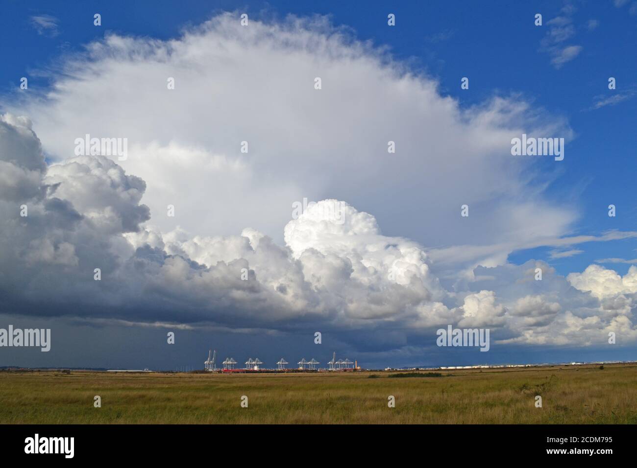 Storm with anvil cloud, a cumulonimbus, seen over Essex from Cliffe, north Kent looking over River Thames and DP World Gateway container port, August. Stock Photo