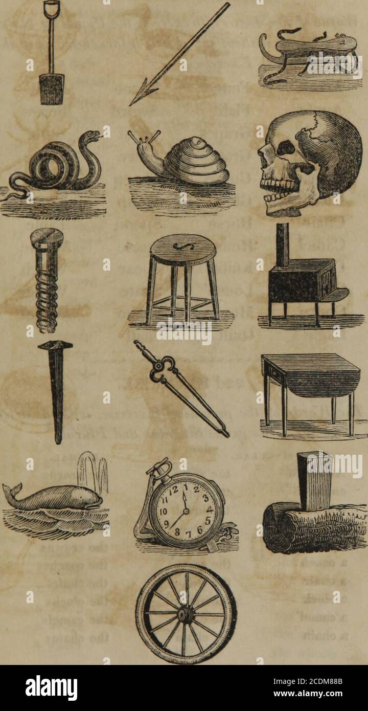 . Elementary exercises for the deaf and dumb . [ 05 ](20/A EXERCISE