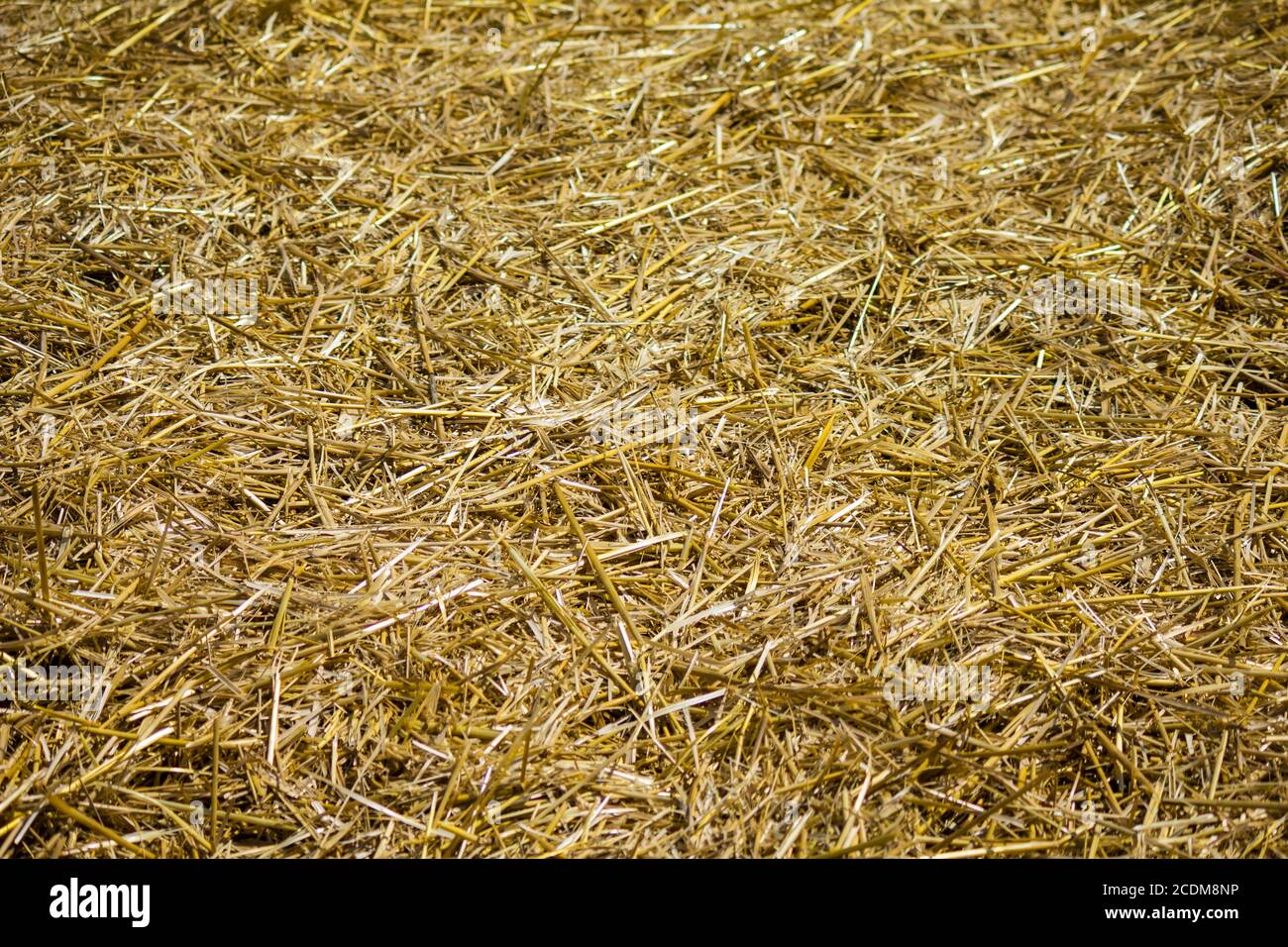 Straw bed hires stock photography and images Alamy