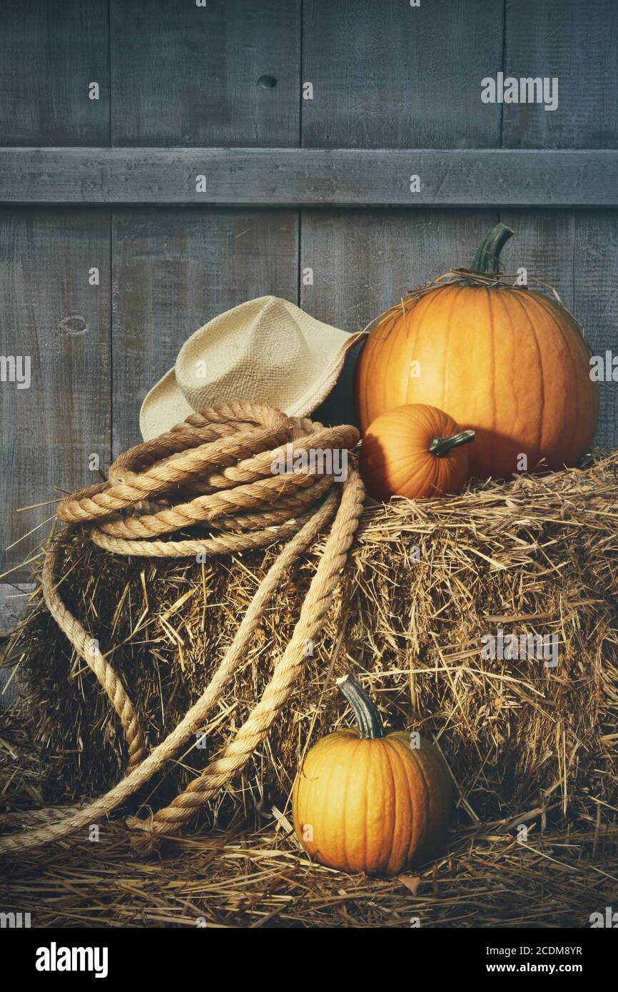 Pumpkins with rope and hat on a bale of hay Stock Photo