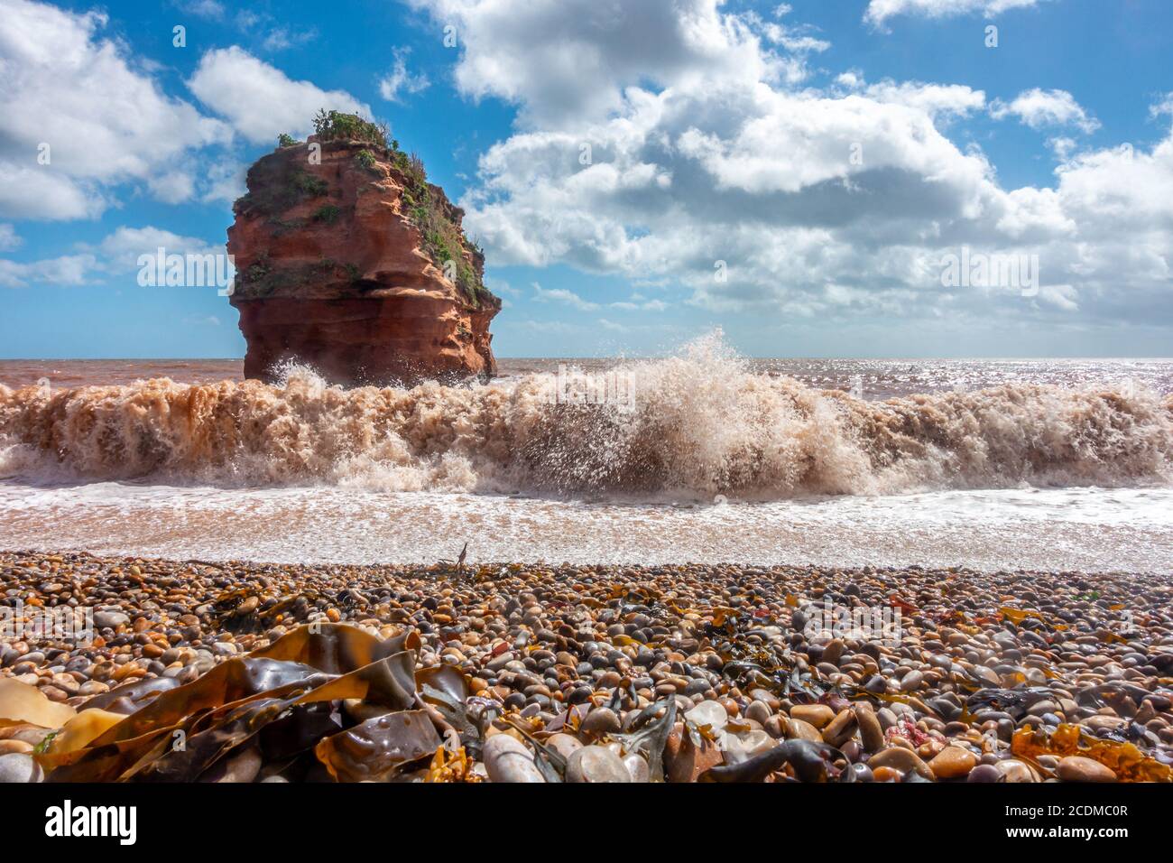 Waves roll onto the beach at Ladram Bay in South Devon, England. Sandstone cliffs have eroded over time to leave a free standing stack Stock Photo