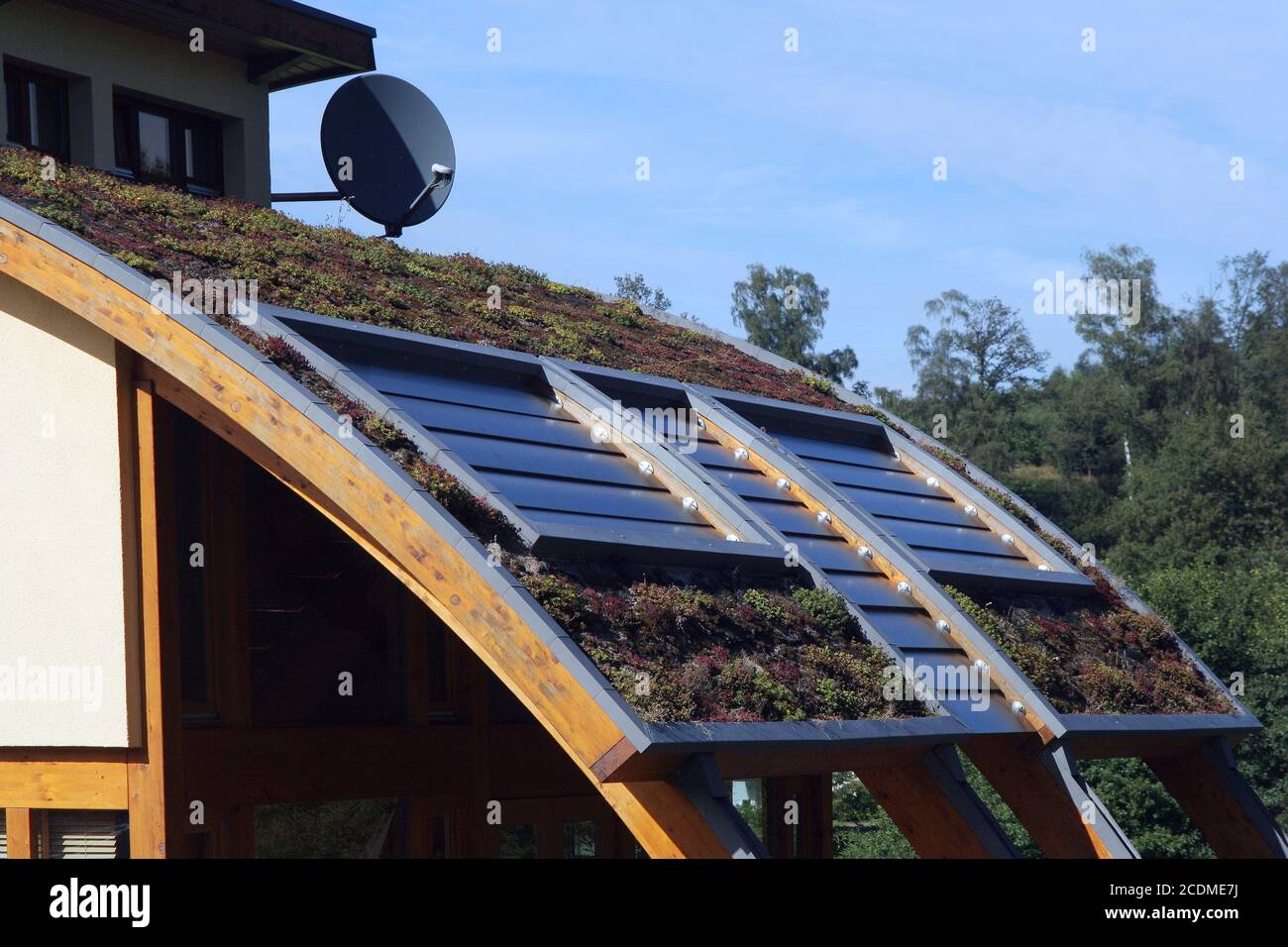 Ecology hi-res stock photography and images - Alamy
