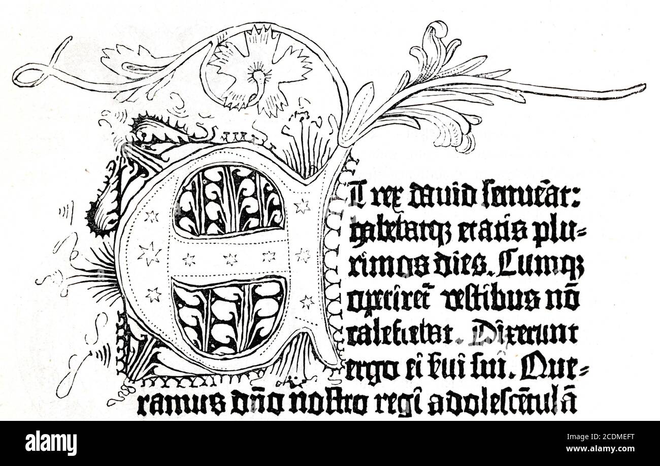 Facsimile from the first Gutenberg Bible, 42 lines. Historical illustration from Otto von Leixner: Illustrated history of German literature. Leipzig Stock Photo