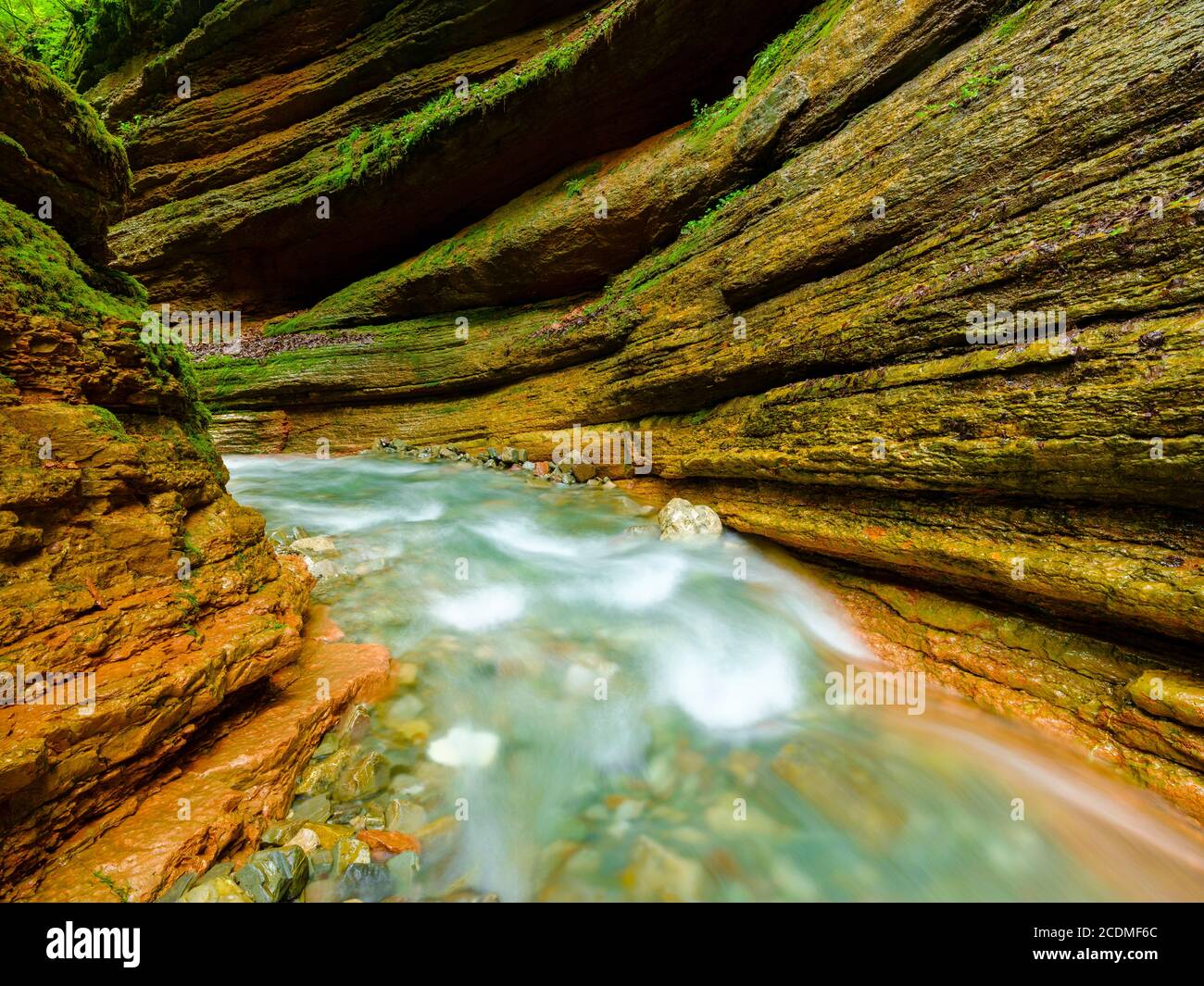 Gorge, stream, Taugl, Tauglbach, Tauglbachklamm, Hallein District, Salzburg, Austria Stock Photo