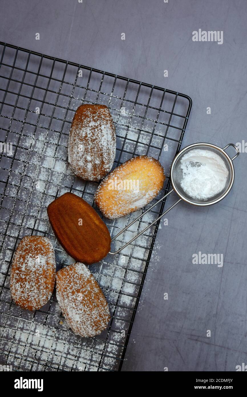 Classic madeleines on cake grid and icing sugar in sieve, Germany Stock Photo