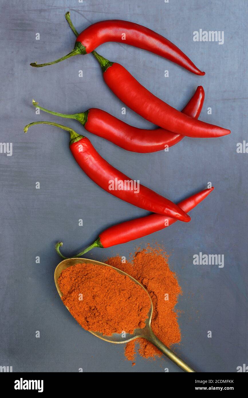 Chili powder in spoon and chilli peppers, Germany Stock Photo