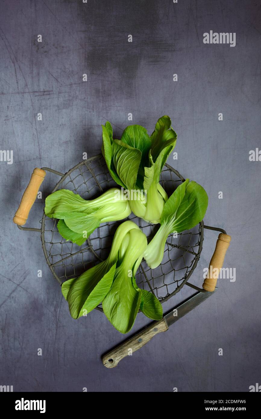 Pak choi chinese mustard cabbage in wire basket with knife hires stock photography and images