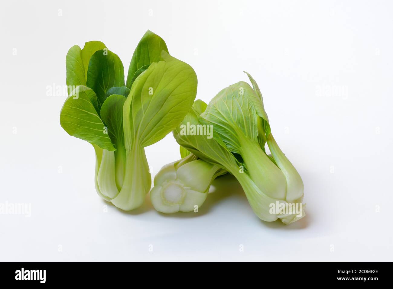 Pak Choi or Chinese mustard cabbage, (Brassica chinensis), Germany
