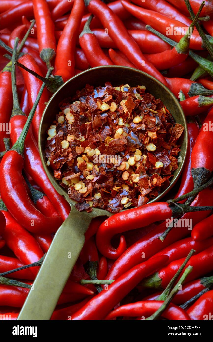 Chili flakes in ladle and chilli peppers, Germany Stock Photo Alamy
