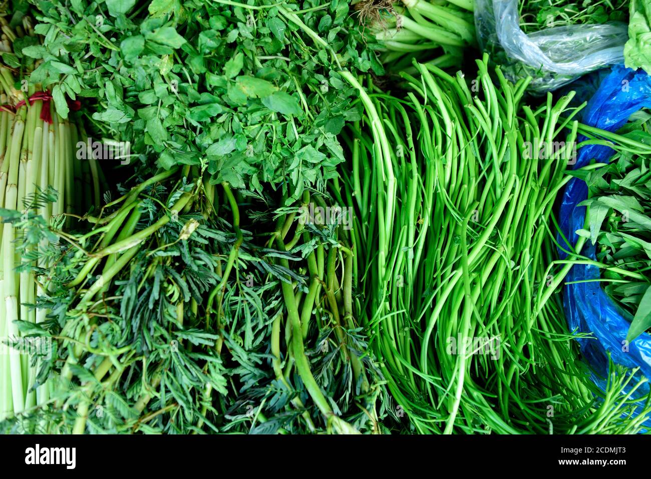 Vietnamese green vegetables, various locally grown fresh harvested raw
