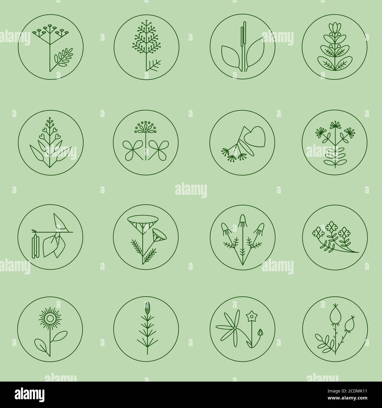 Set of medicinal plants icons. Minimalistic plants illustrations Stock Vector