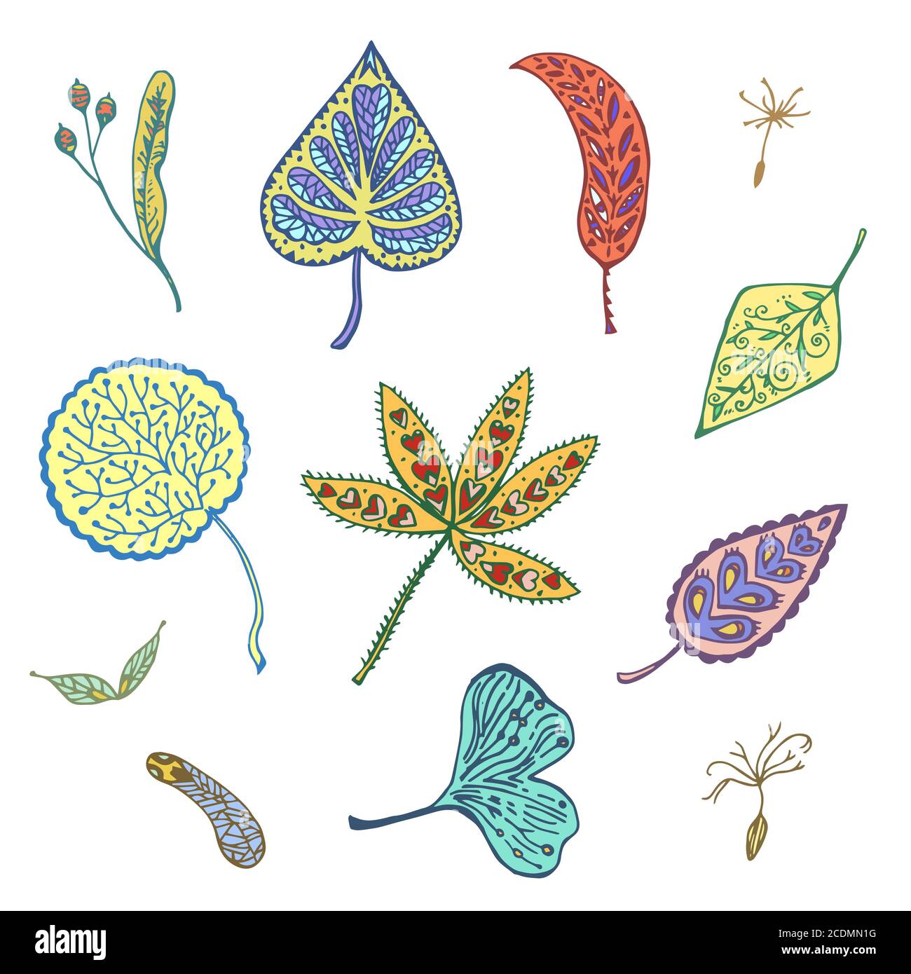 Autumn set of ornamental leafs and seed. Hand drawn vector illustration ...