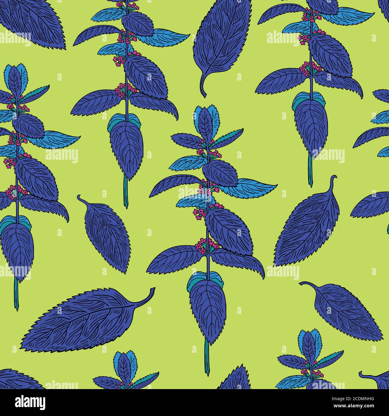 Seamless pattern with mint leaves and plants. Hand drawing Stock Vector ...