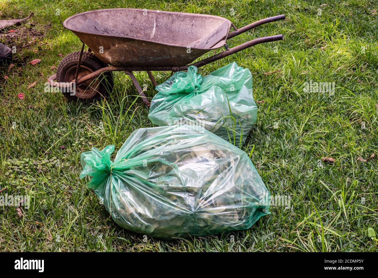 Plastic bags full of dry leaves and dry flowers next to an old