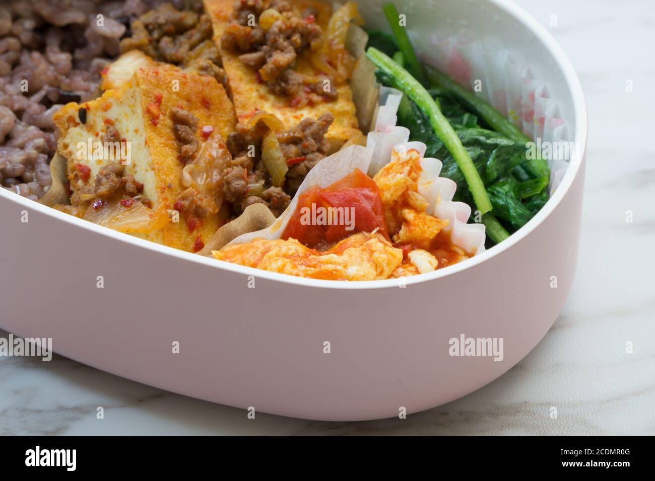 healthy japanese lunch box with germinated brown rice,fried tofu