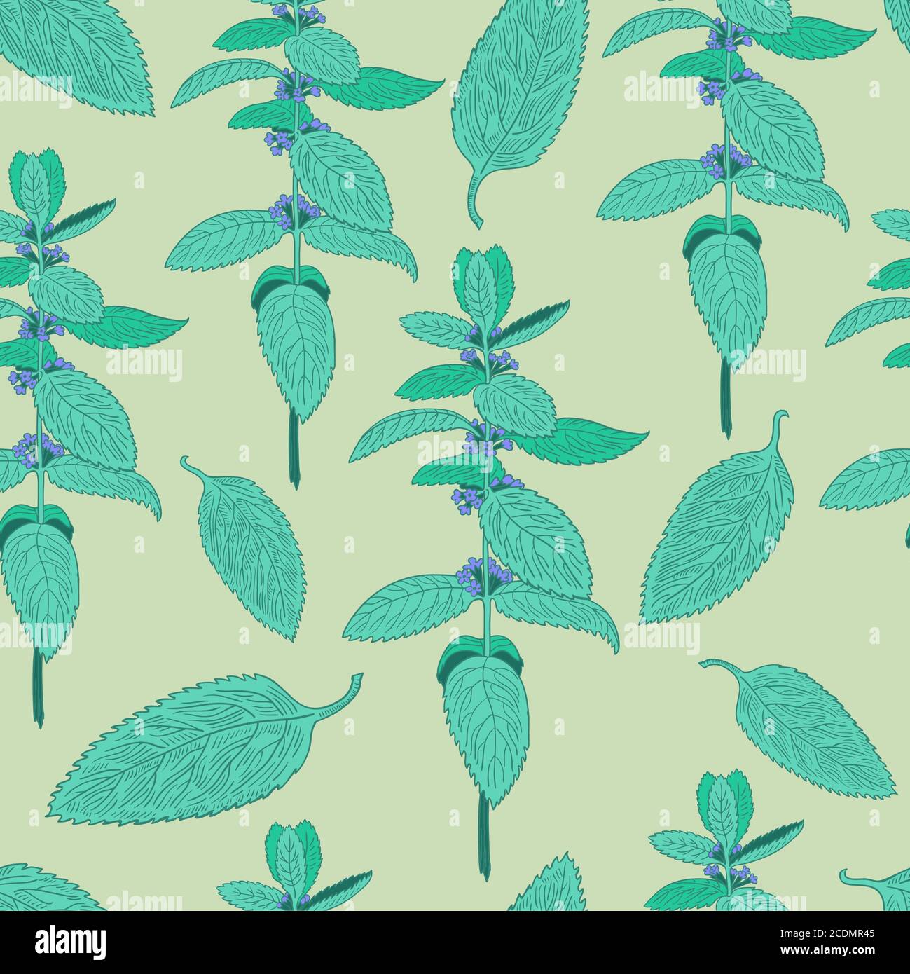 Menthol plants Stock Vector Images - Alamy