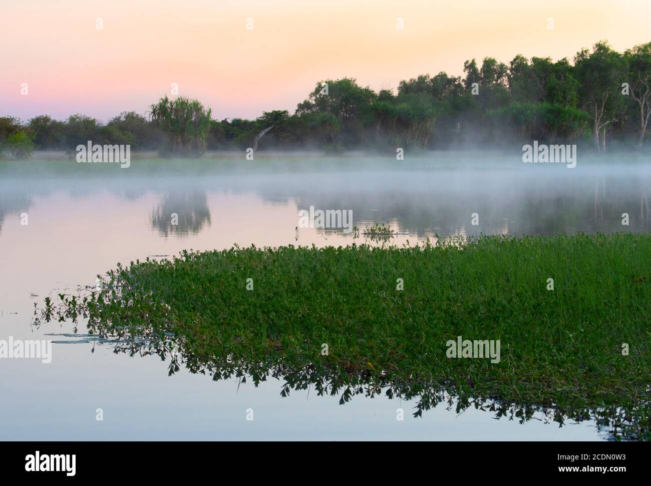 Australian wetland water mist hires stock photography and images Alamy