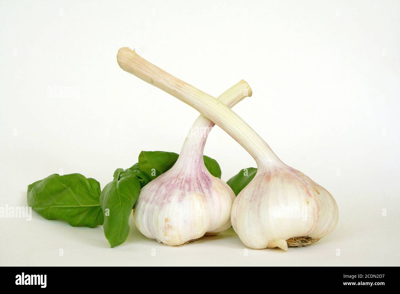 garlic and basil Stock Photo Alamy