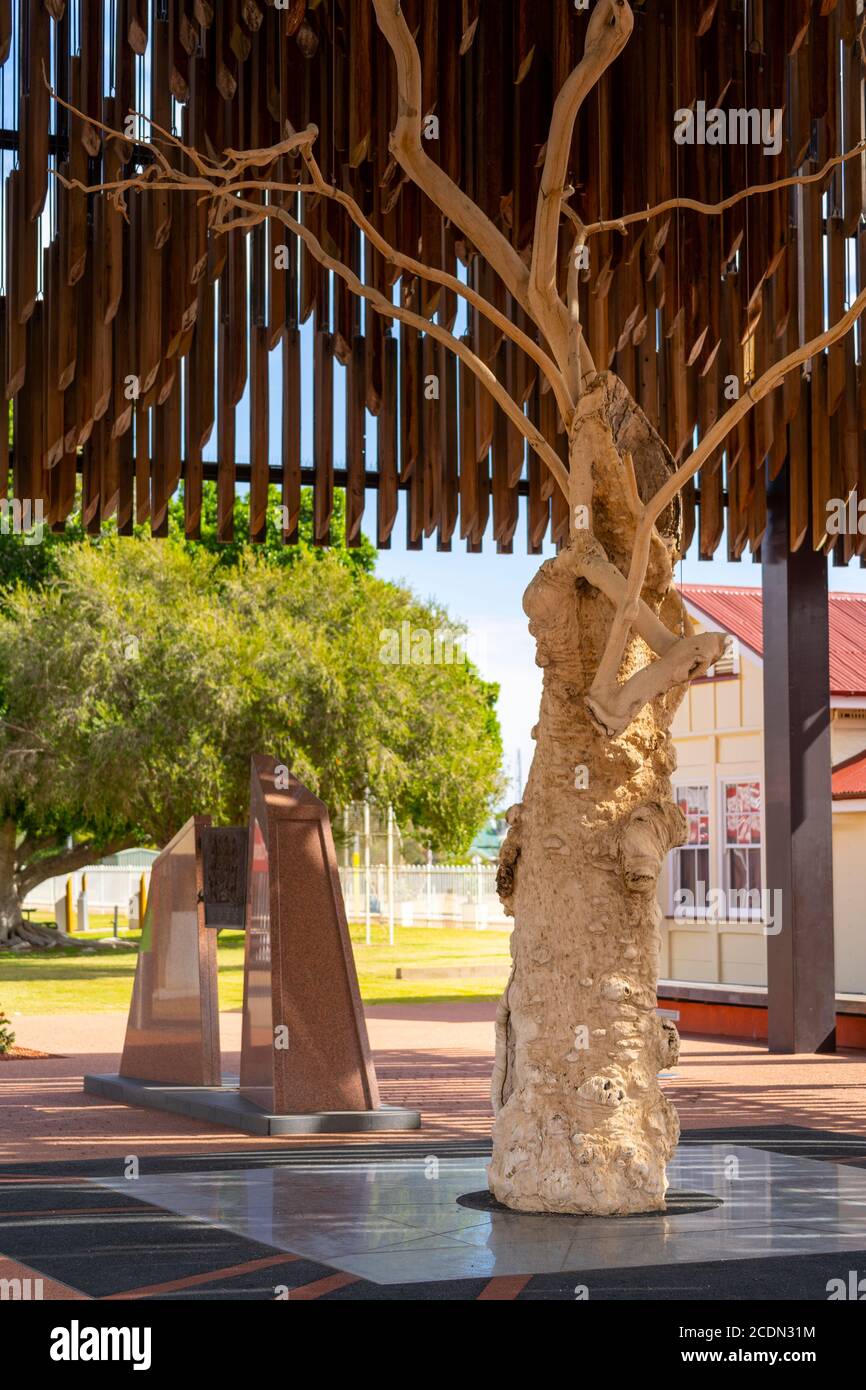 Tree of Knowledge, Barcaldine, Western Queensland, Australia. Stock Photo