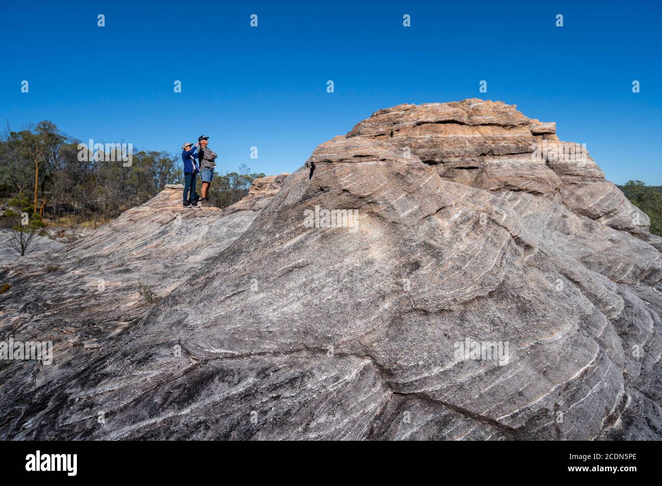 Busherwalkers at Salvator Rosa Section Carnarvon National Park, Queensland, Australia Stock Photo