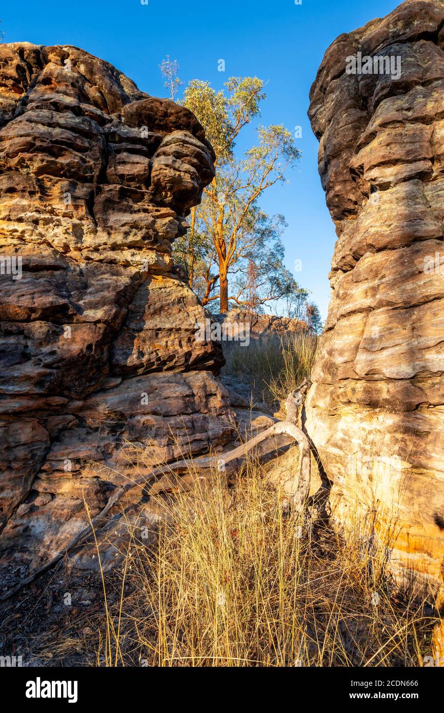 Hadrian's Wall rock formation. Salvator Rosa Section Carnarvon National Park, Queensland, Australia Stock Photo