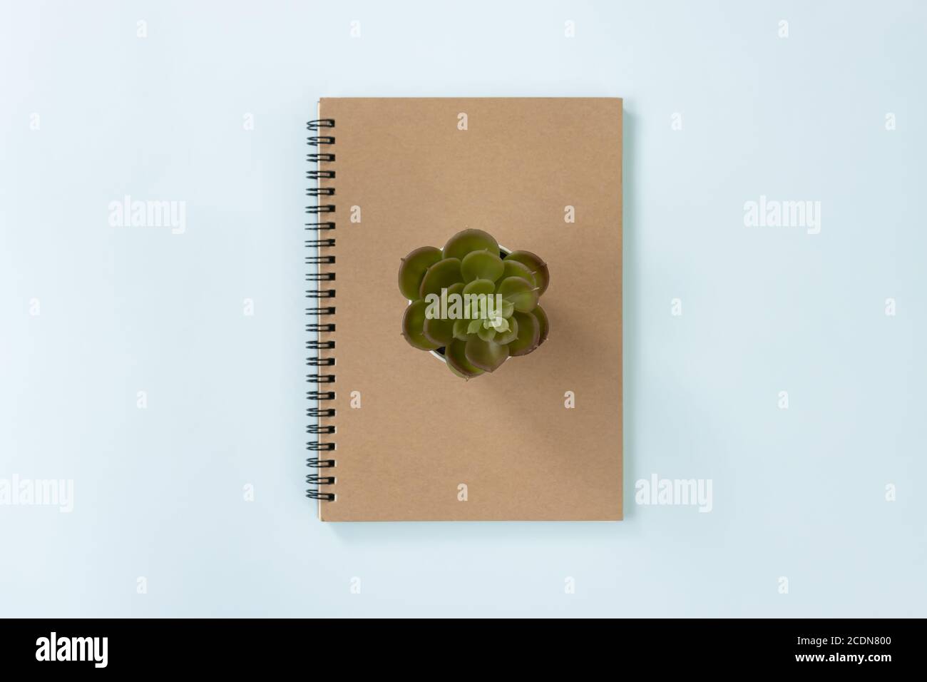 Brown Cover Spiral Notebook or Spring Notebook in Unlined Type and