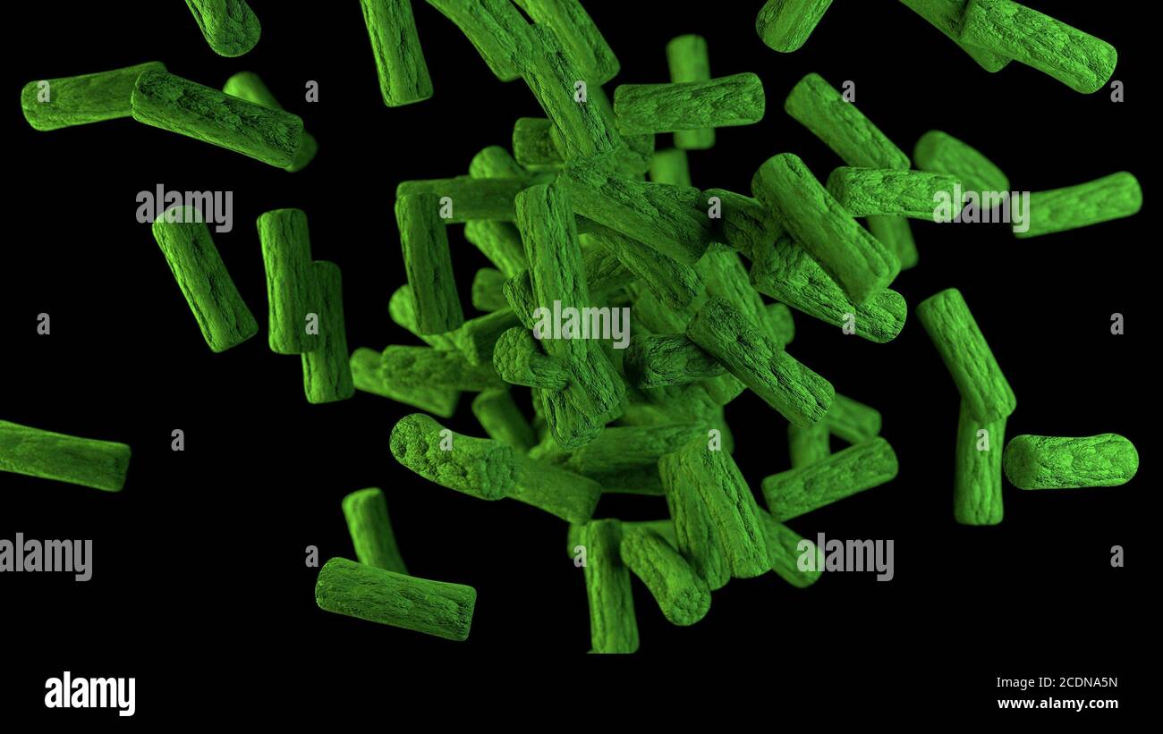green bacteria cells Stock Photo