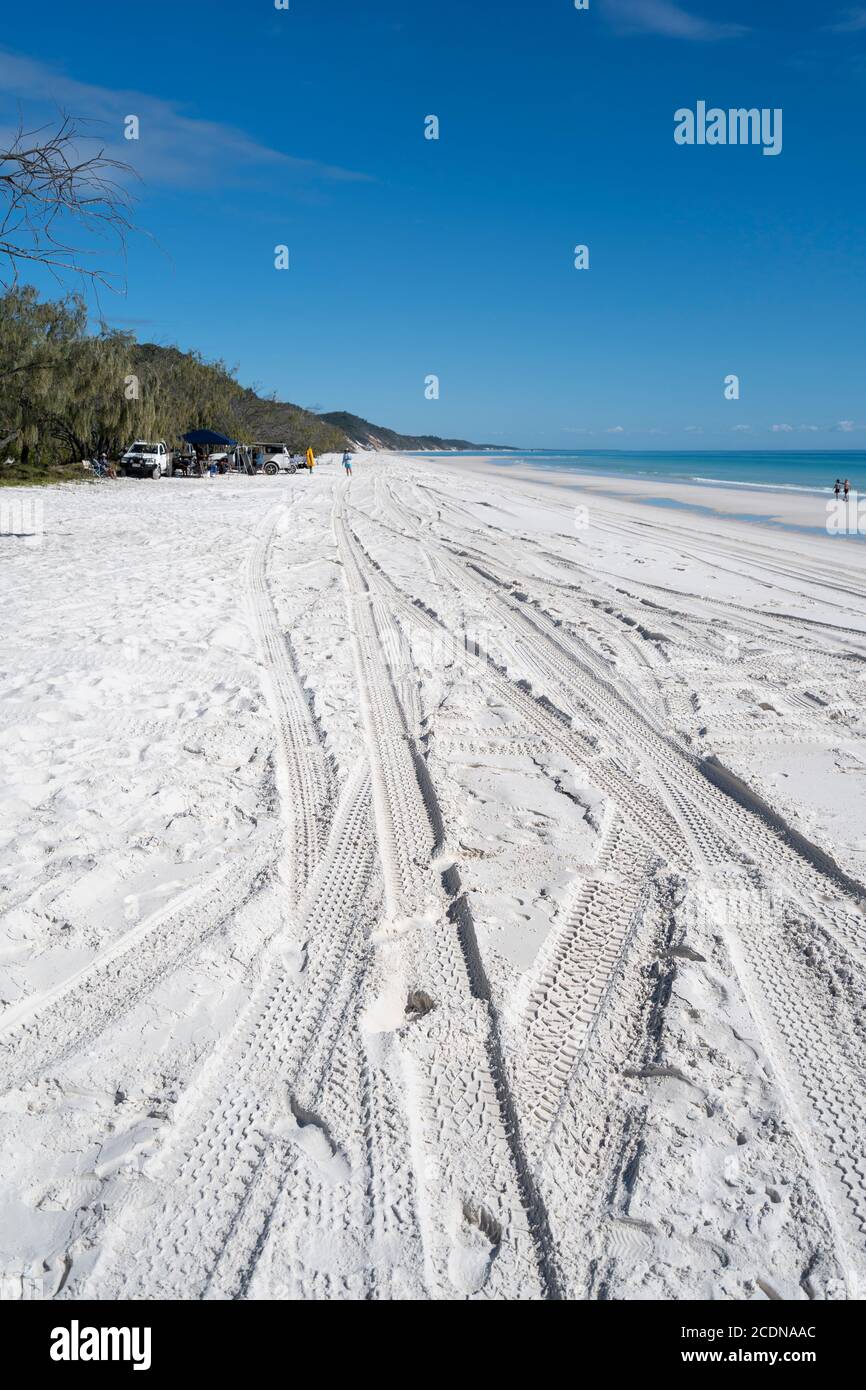 4WD tracks in sand near Awinya Creek, western shore of Fraser Island, Hervey Bay Queensland Australia Stock Photo