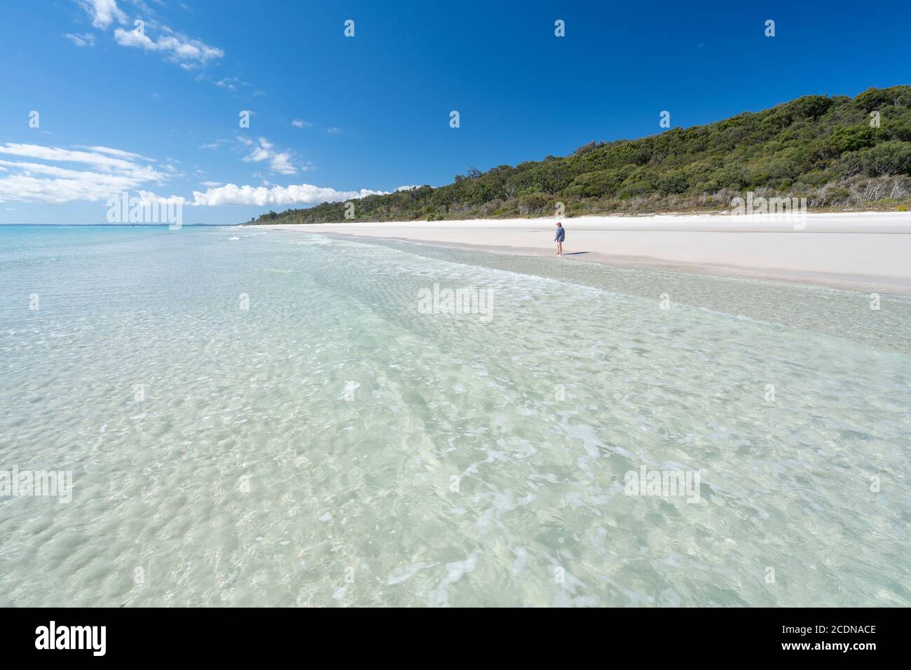 White sandy beach and clear water under blue sky, near Awinya Creek, western shore of Fraser Island, Hervey Bay Queensland Australia Stock Photo