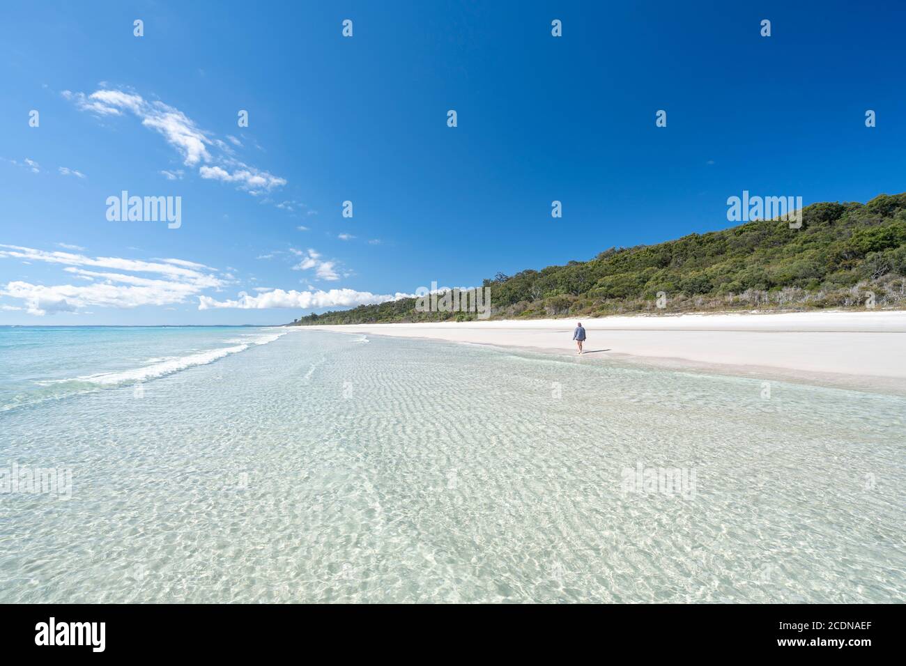 White sandy beach and clear water under blue sky, near Awinya Creek, western shore of Fraser Island, Hervey Bay Queensland Australia Stock Photo