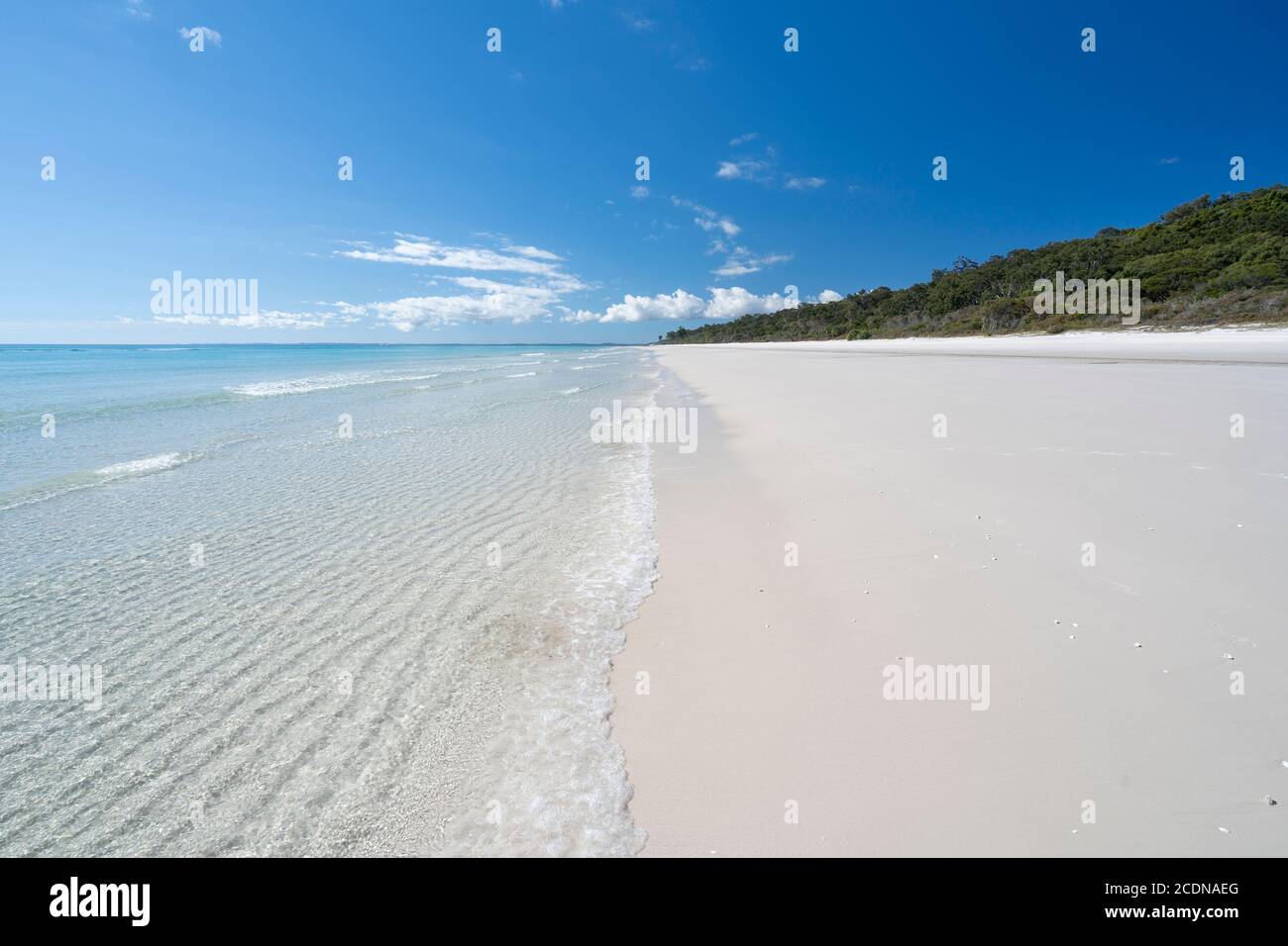 White sandy beach and clear water under blue sky, near Awinya Creek, western shore of Fraser Island, Hervey Bay Queensland Australia Stock Photo