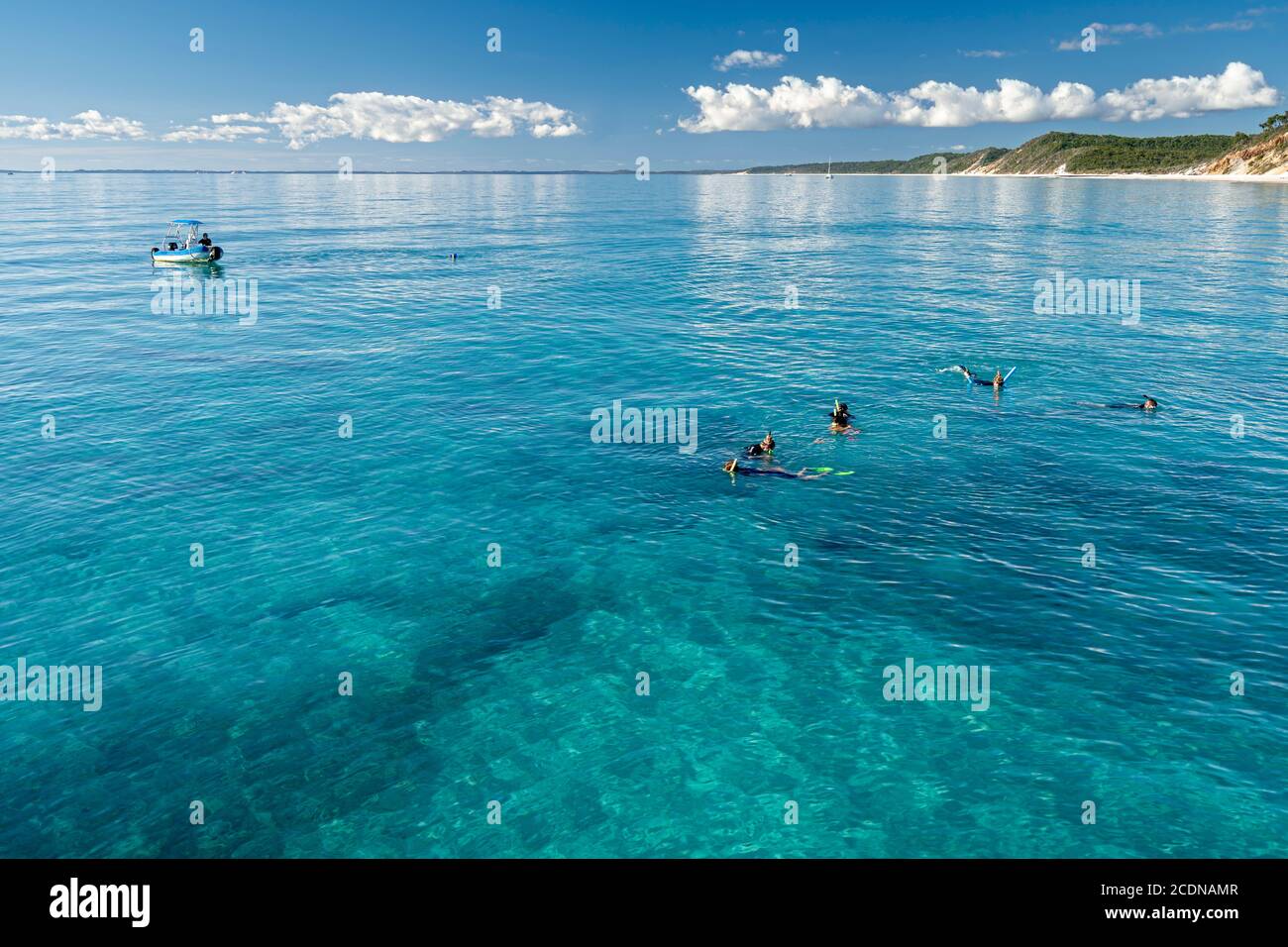 Tourists snorkeling in clear waters of Platypus Bay on West coast of Fraser Island, Hervey Bay, Queensland, Australia Stock Photo