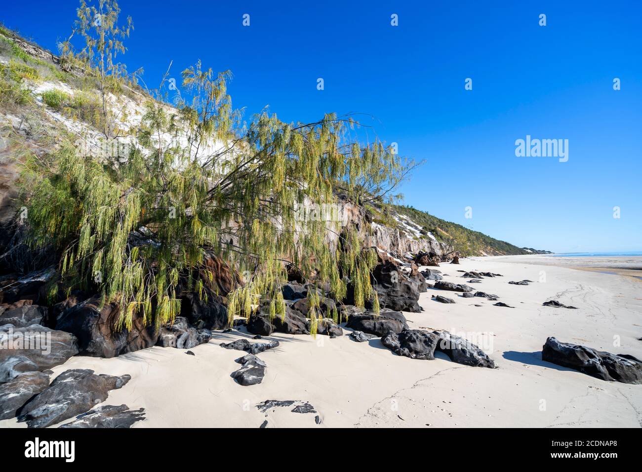 Erosion of sand dunes on western shore of Fraser Island, Hervey Bay, Queensland Australia Stock Photo