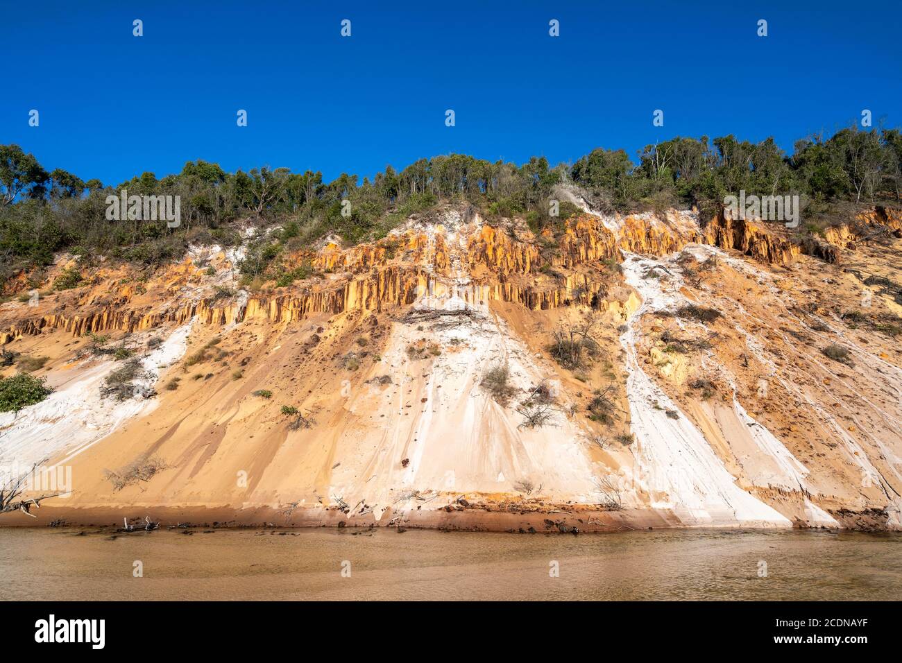 Erosion of sand dunes on western shore of Fraser Island, Hervey Bay, Queensland Australia Stock Photo