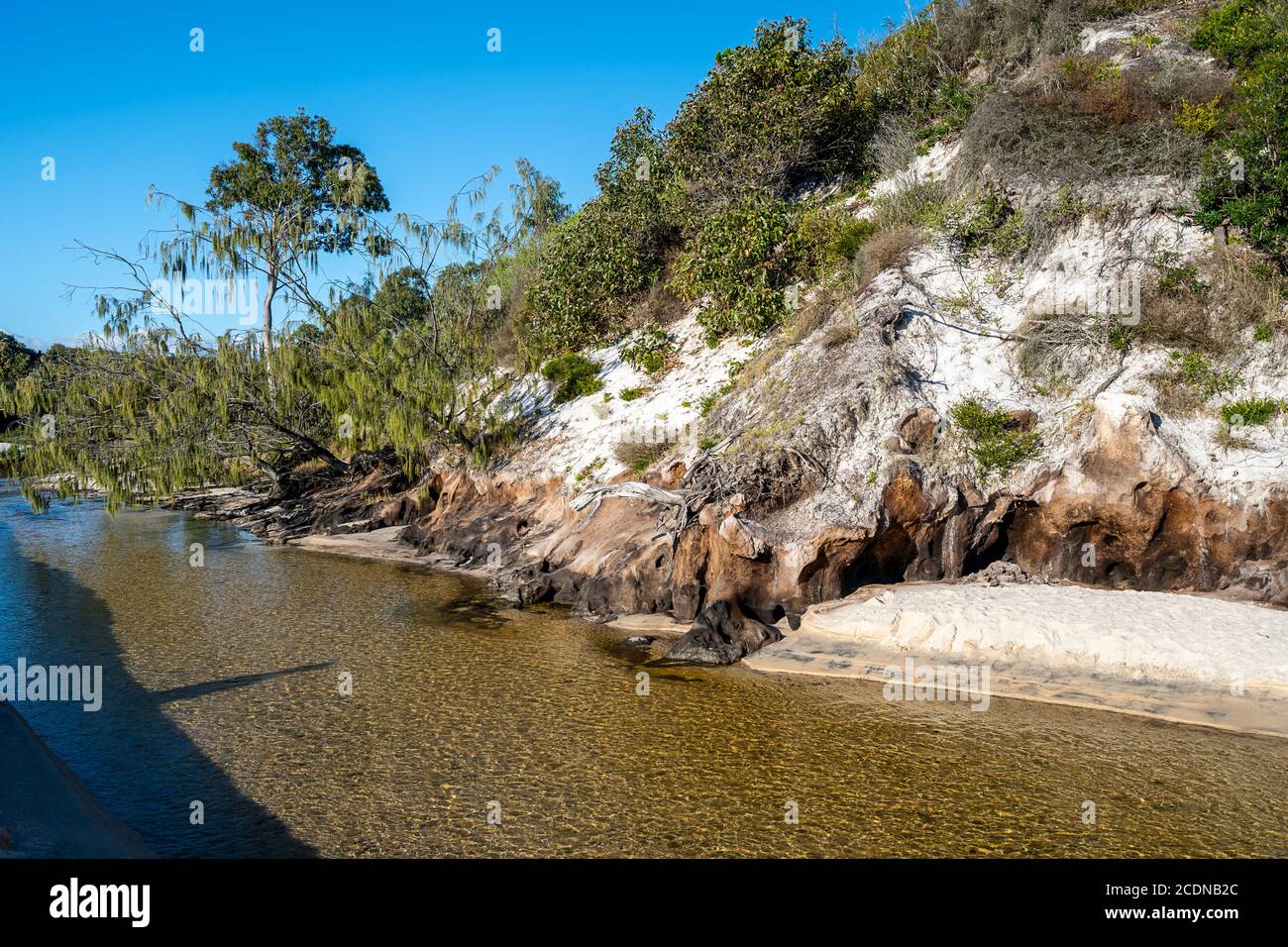 Bowarrady Creek flowing along front of sand dunes West Coast of Fraser Island, Hervey Bay, Queensland Australia Stock Photo