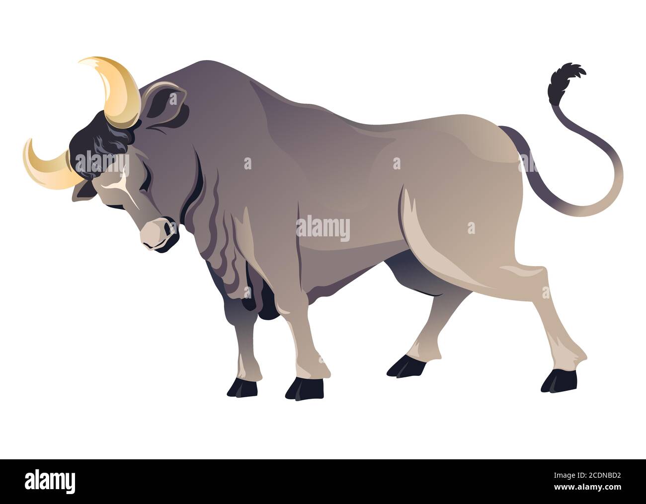 Angry Bull Running High-Res Vector Graphic - Getty Images