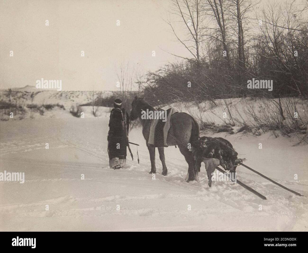 Untitled Native American With Horse Pulling Travois Stock Photo Alamy untitled-native-american-with-horse-pulling-travois-stock-photo-alamy