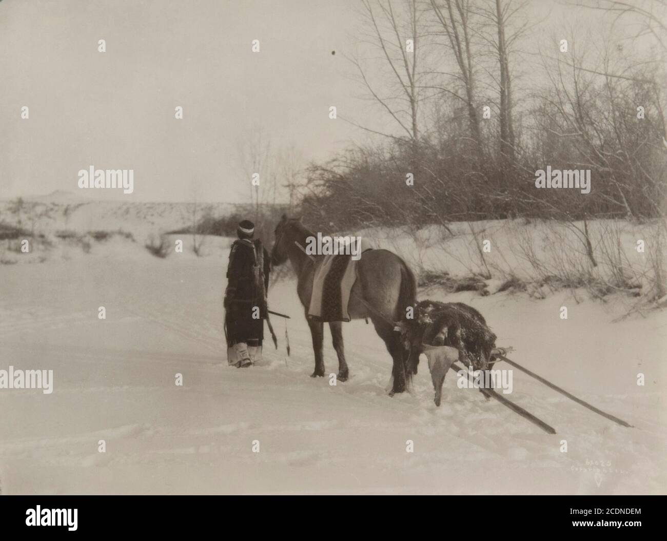 Travois horse hires stock photography and images Alamy