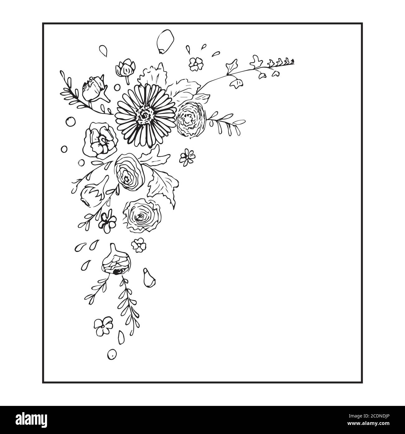 Beautiful postcard from different colors of vintage garden. Black and ...