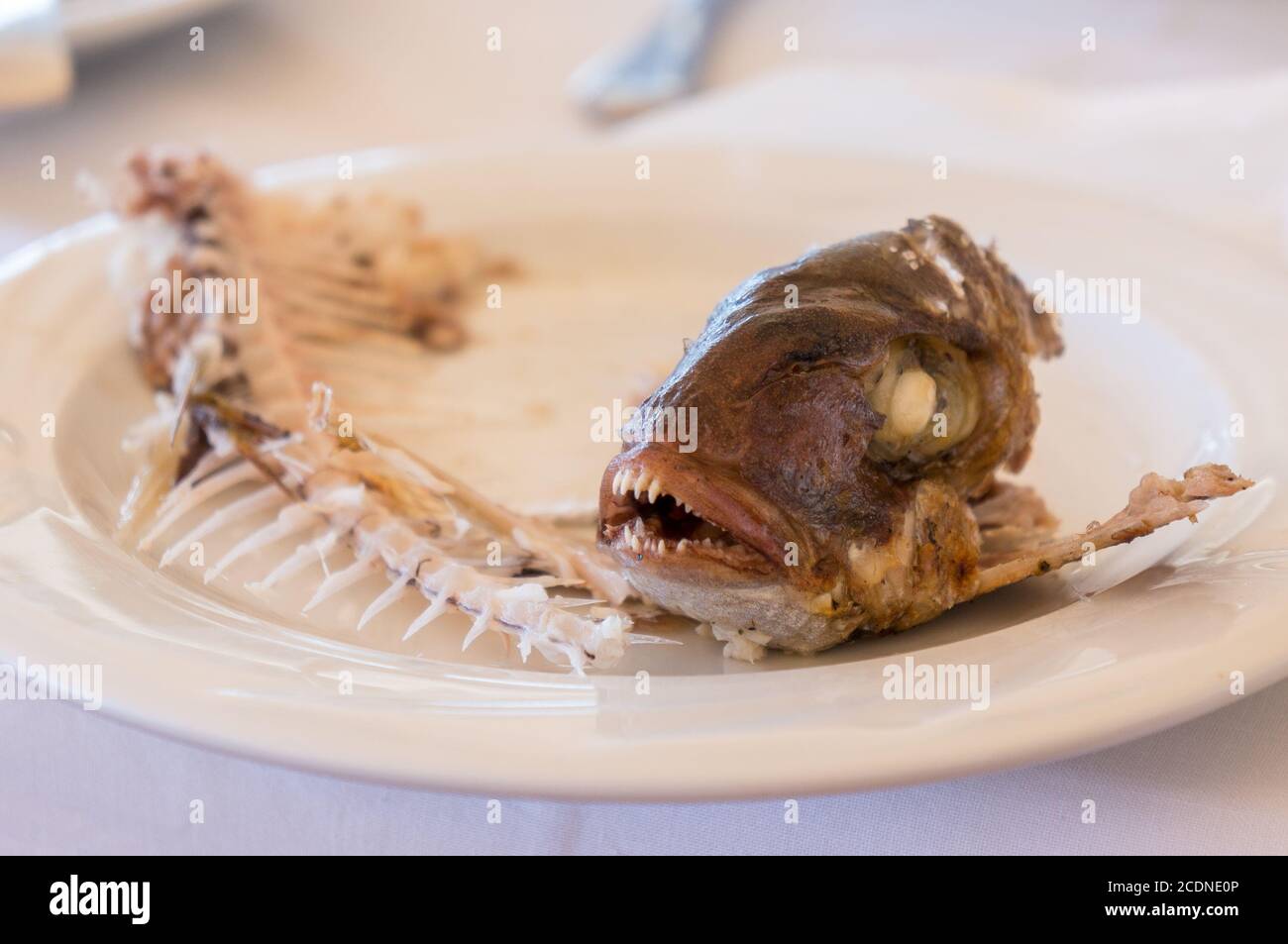 eaten fish with head and tail - symbol of misery Stock Photo