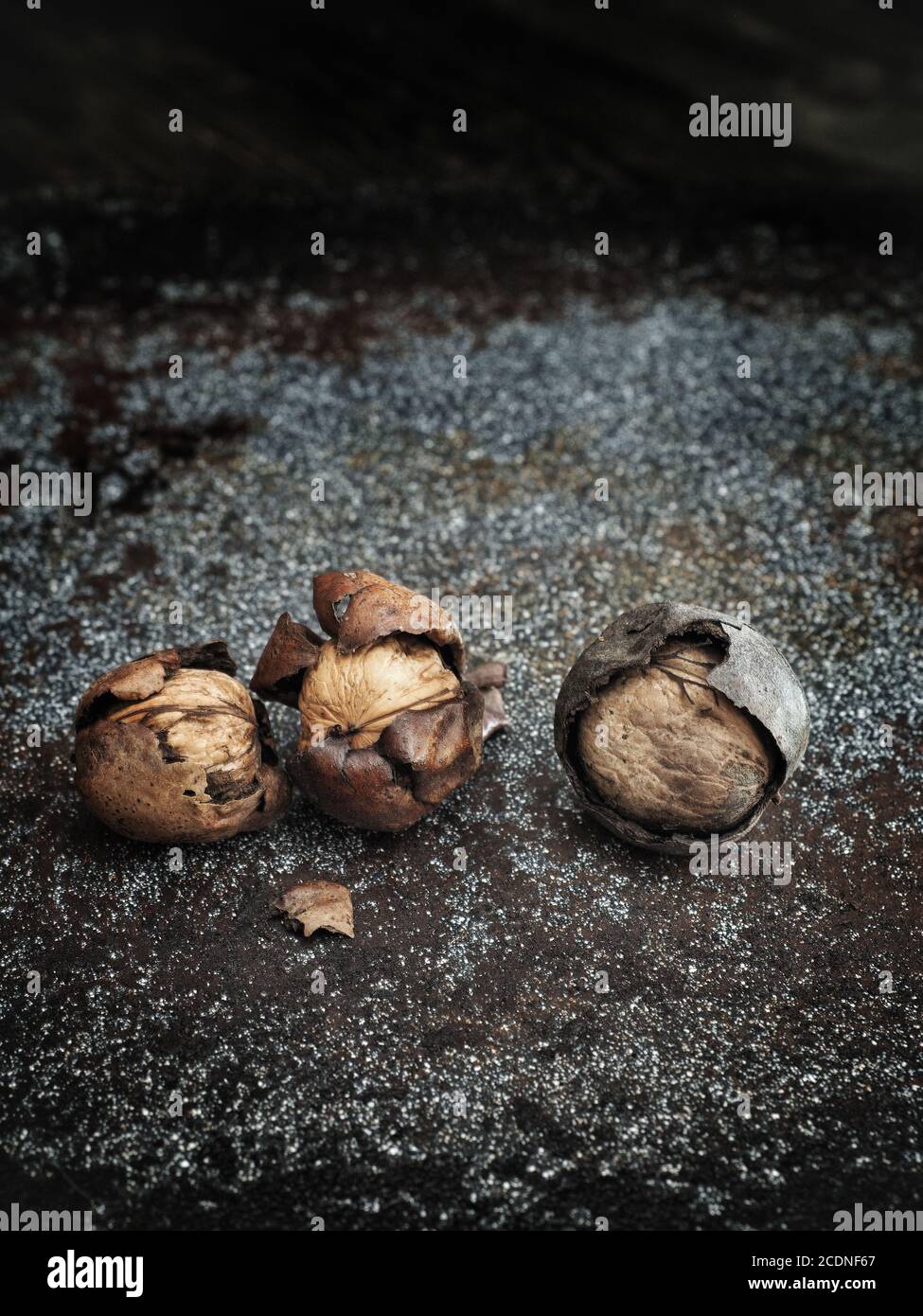 Three harvested walnuts on dark vintage background. Stock Photo