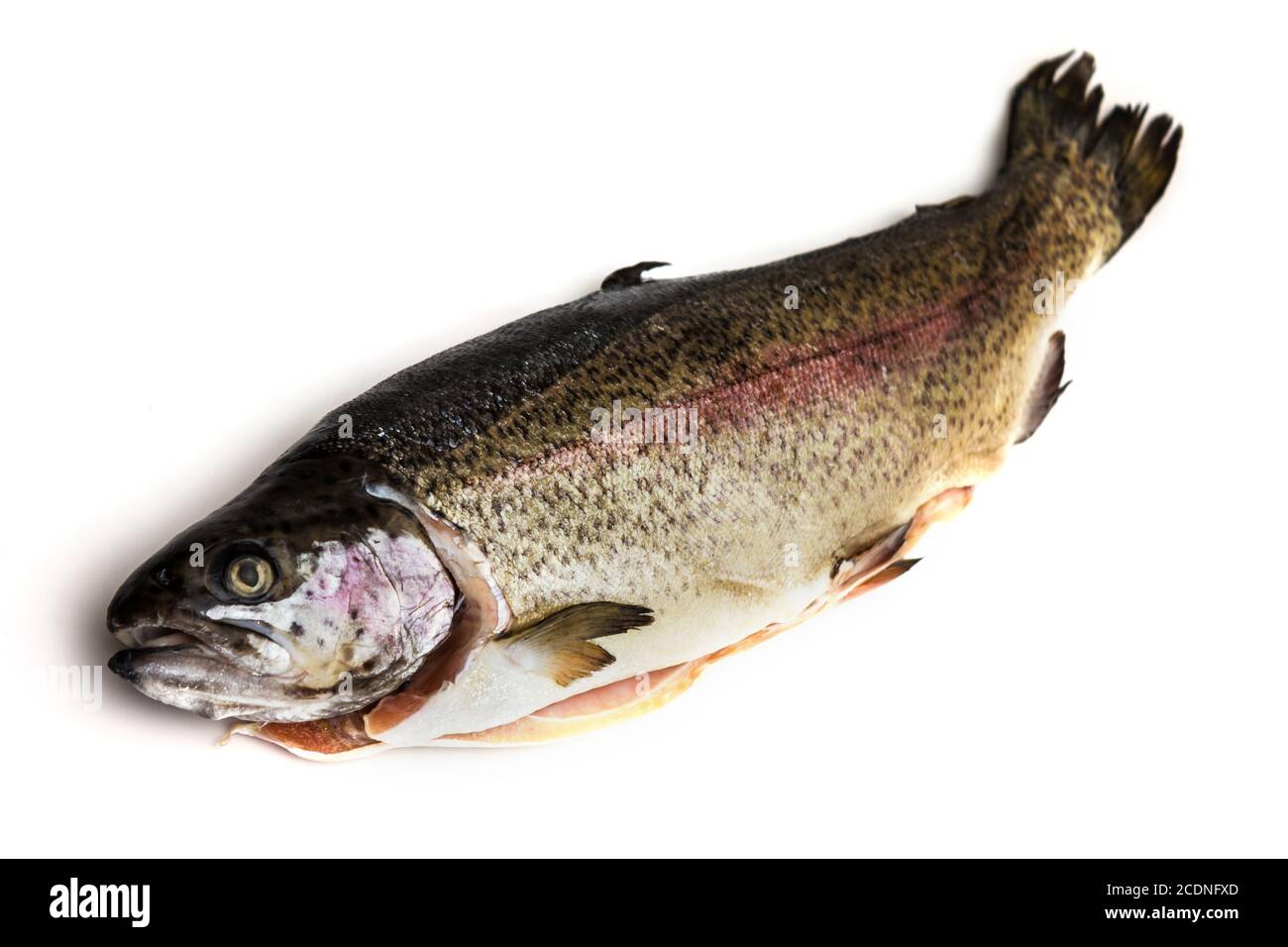 Fresh Salmon trout isolated Stock Photo Alamy
