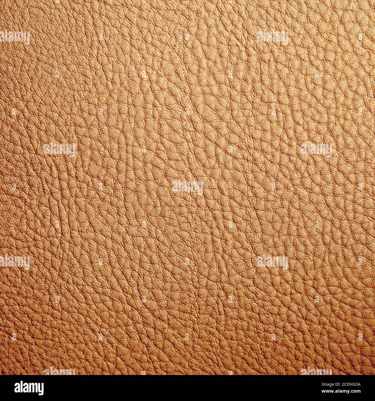 Leather texture background Stock Photo