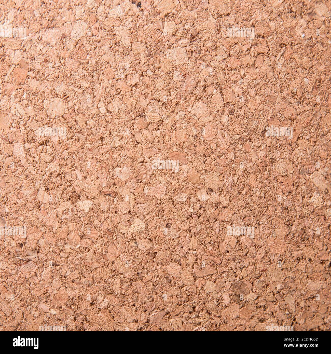 Texture the cork tree. Background Stock Photo Alamy